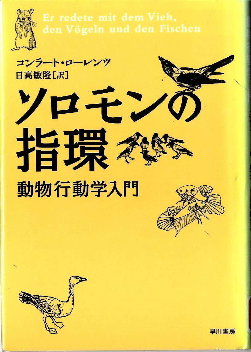 『ソロモンの指環－動物行動学入門－』の画像