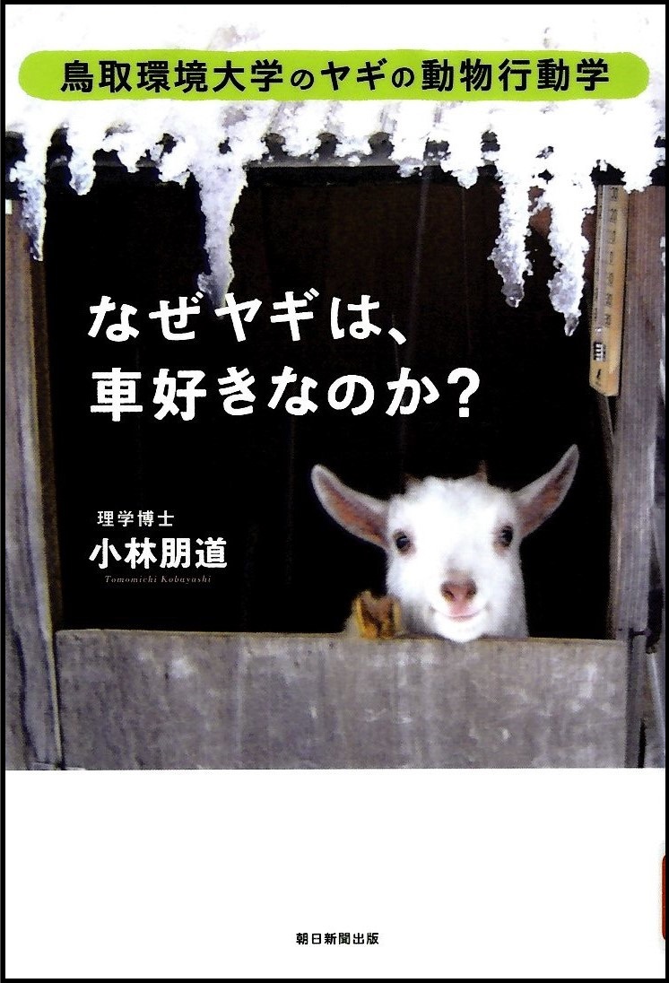 『なぜヤギは、車好きなのか？　鳥取環境大学のヤギの動物行動学』の画像