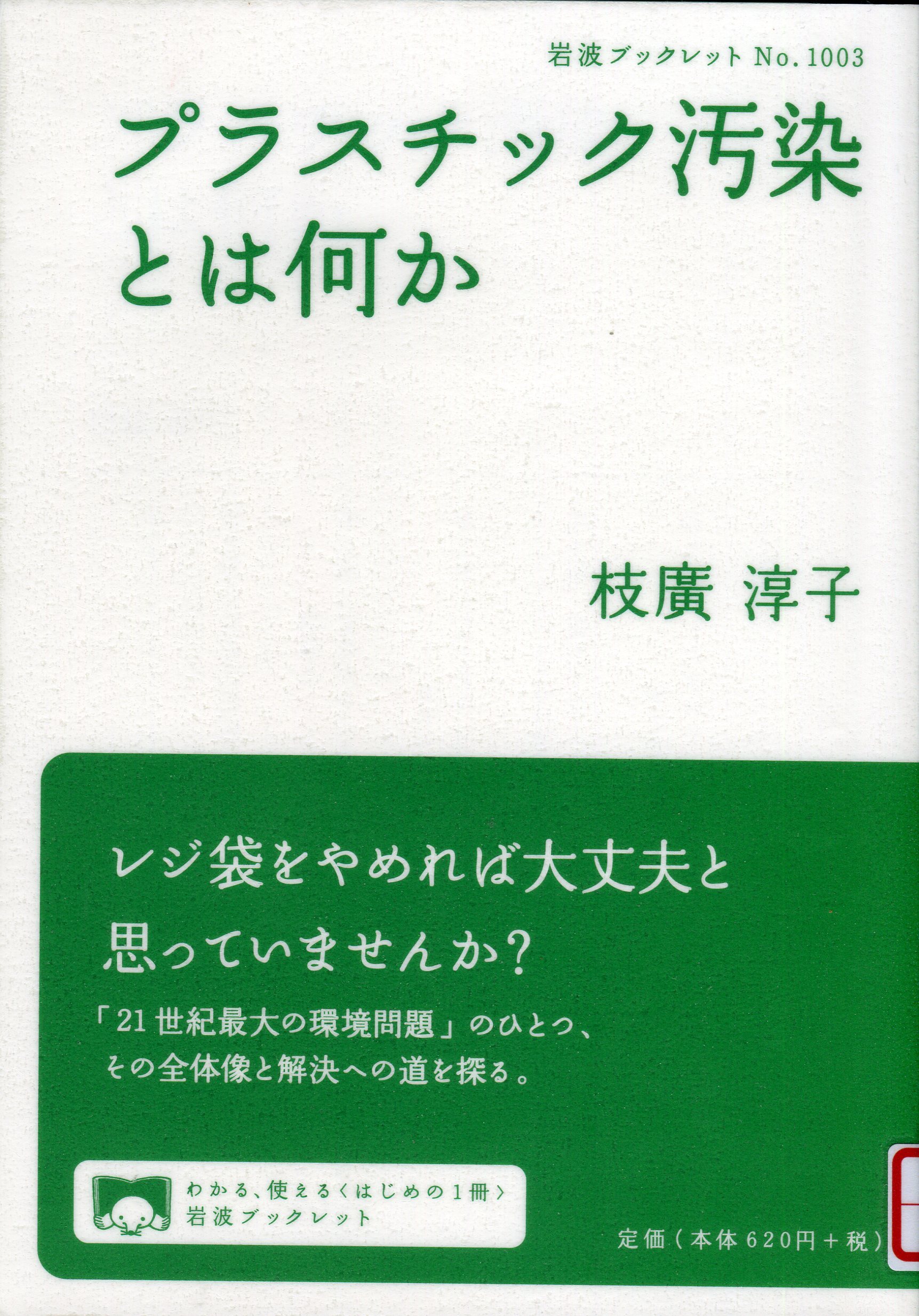 『プラスチック汚染とは何か』の画像