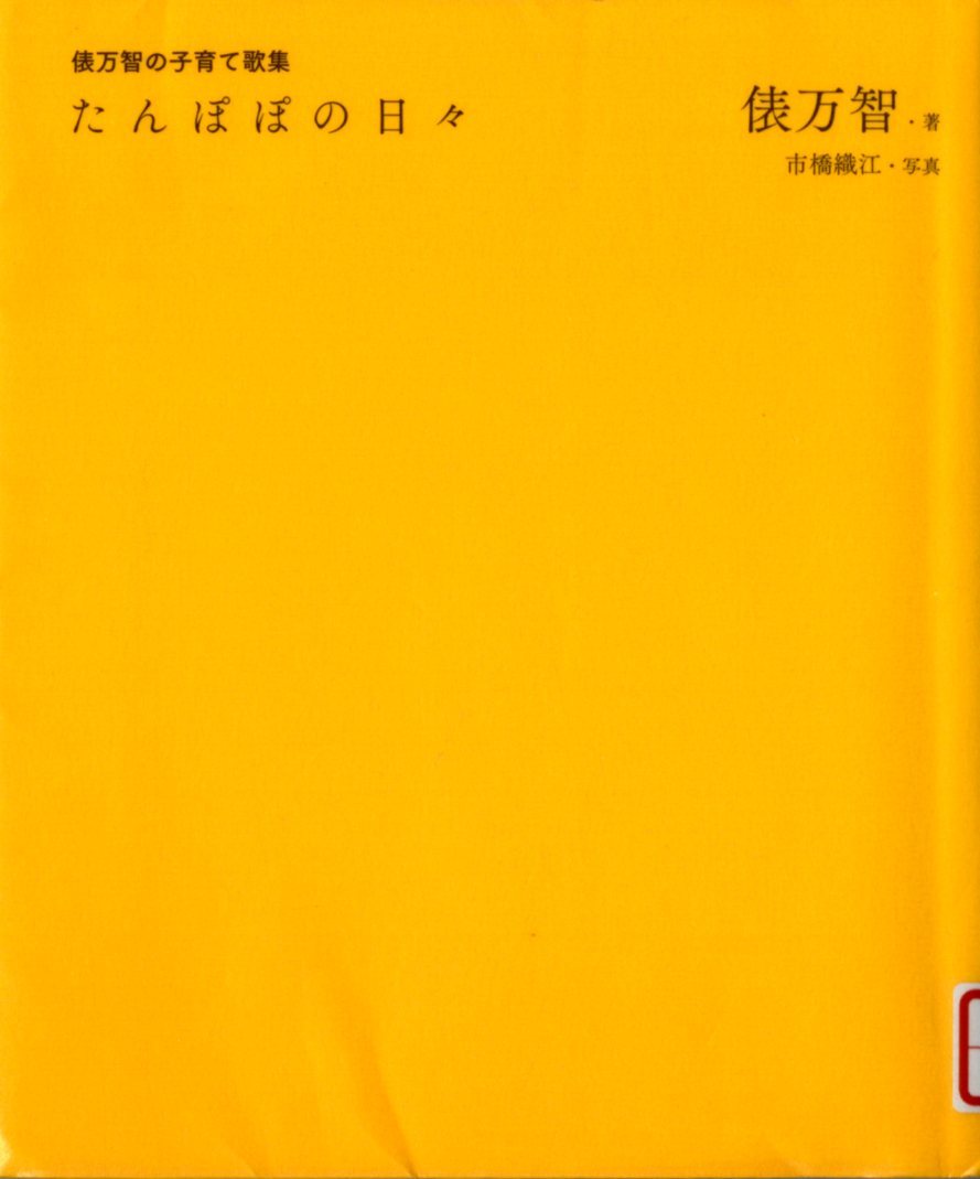 『たんぽぽの日々』の画像